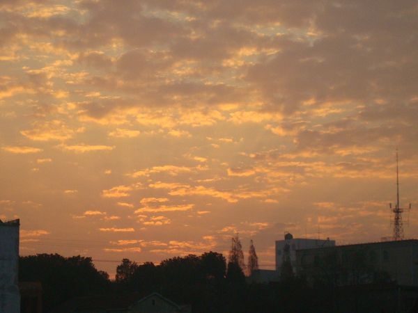 DSC01828.JPG