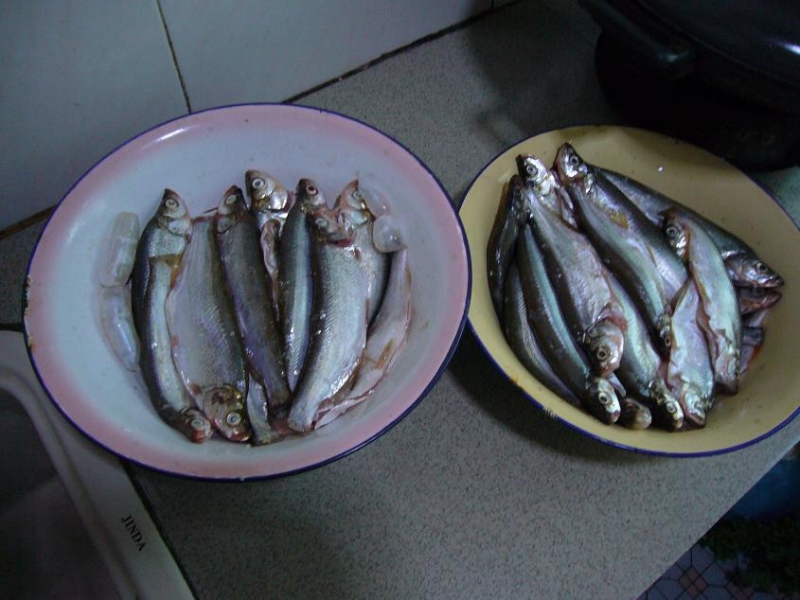 P1000647.JPG