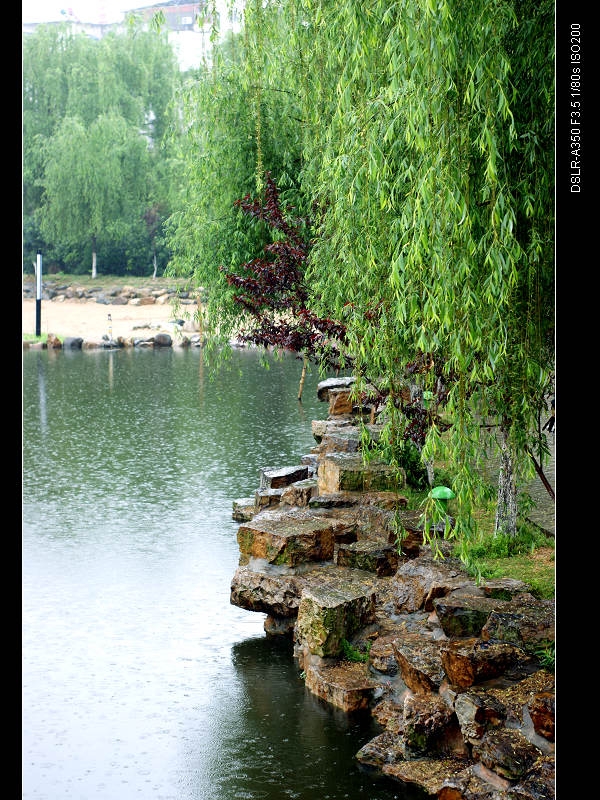 DSC00431.jpg