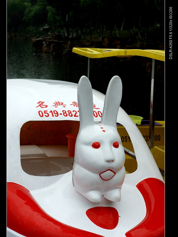 DSC00442.jpg