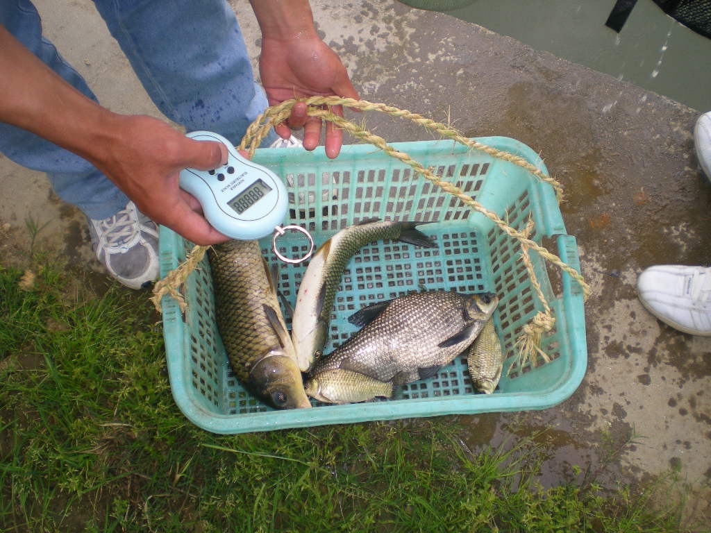 称重