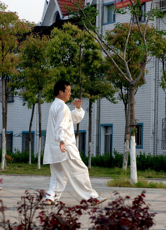DSC00505.jpg