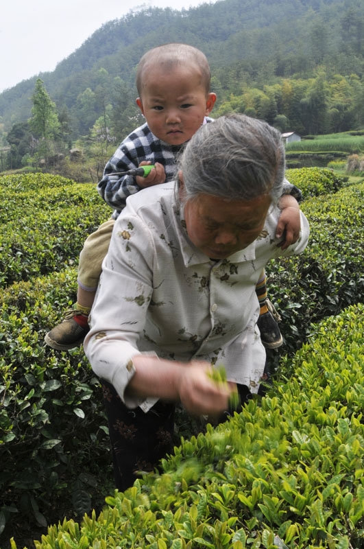 祝奶奶健康快乐！