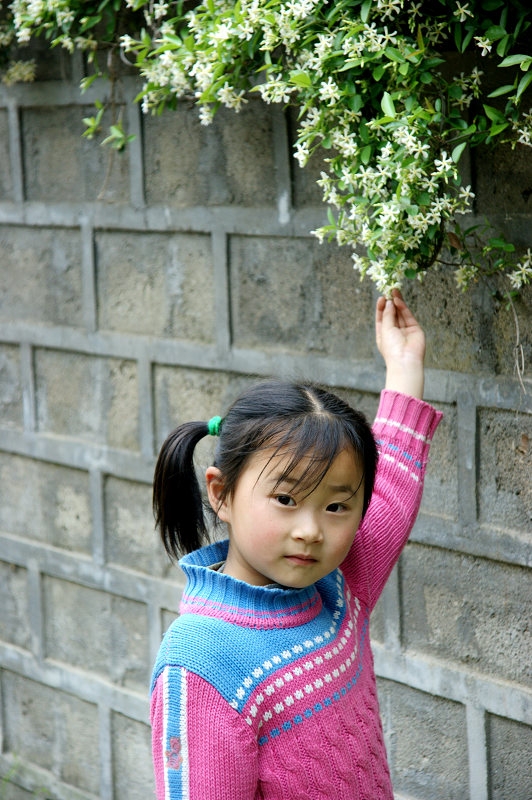 花季.jpg
