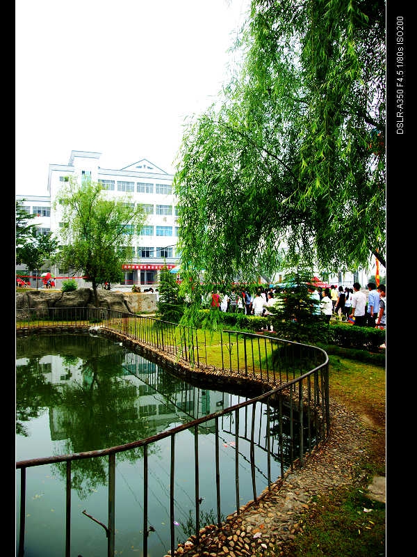 DSC03772.jpg