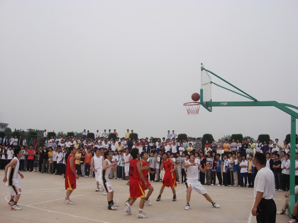 DSC08530.jpg