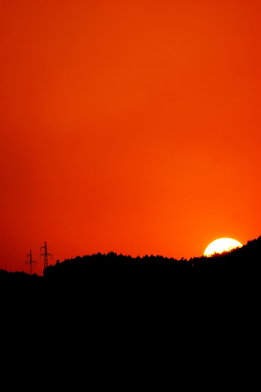 DSC08470.jpg