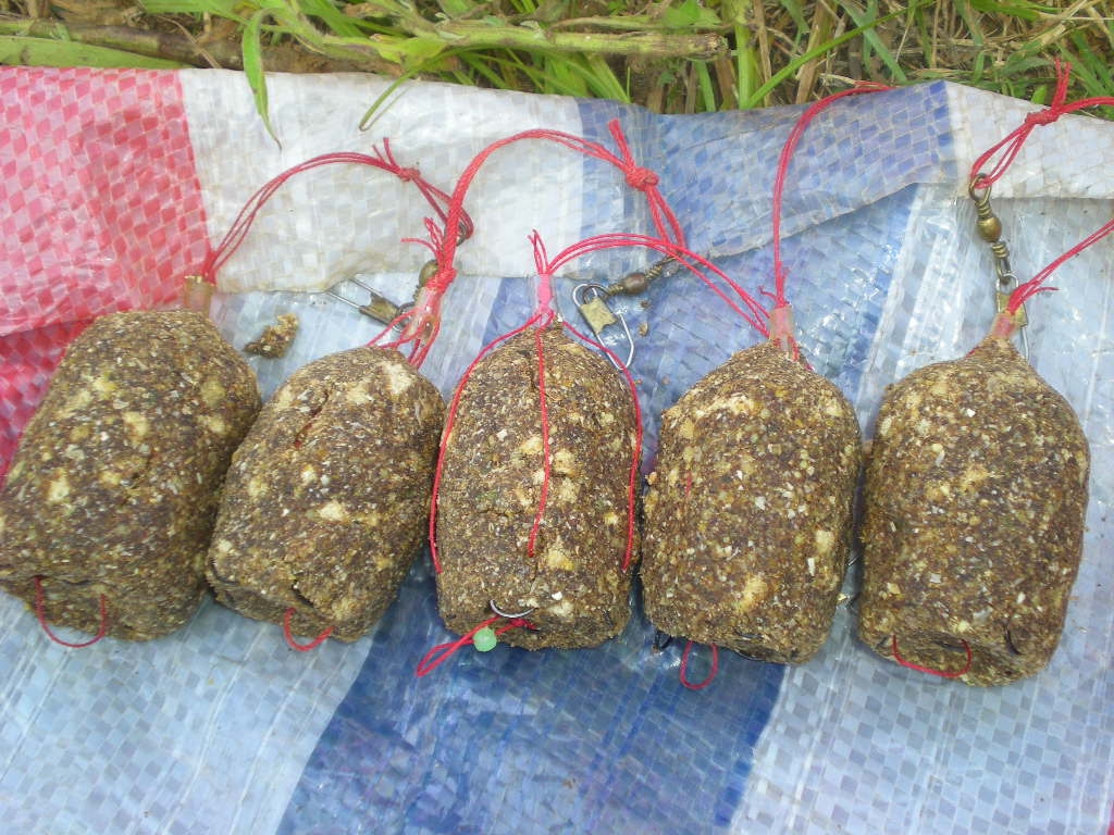鱼的午饭