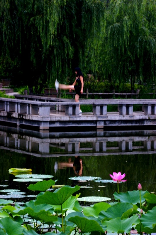 荷 (16).jpg