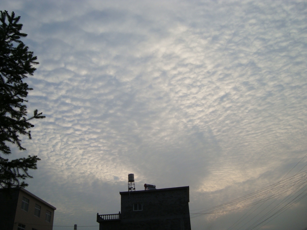 DSC03921.JPG