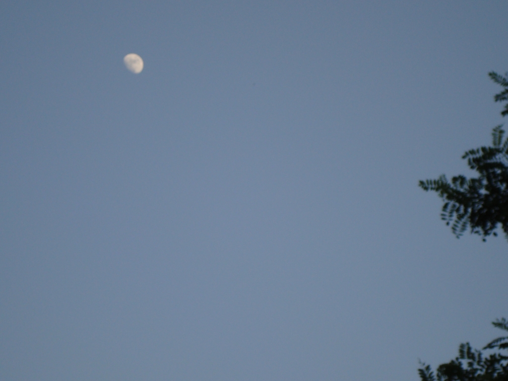 DSC03955.JPG