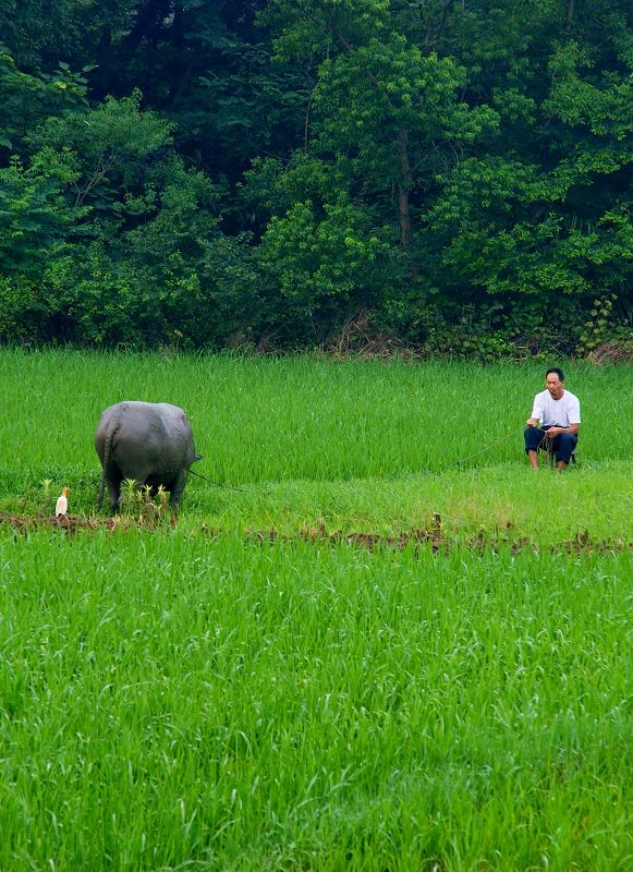 DSC00576.jpg