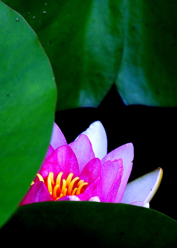 DSC00928.jpg
