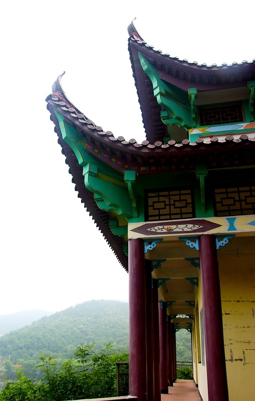 DSC00868.jpg