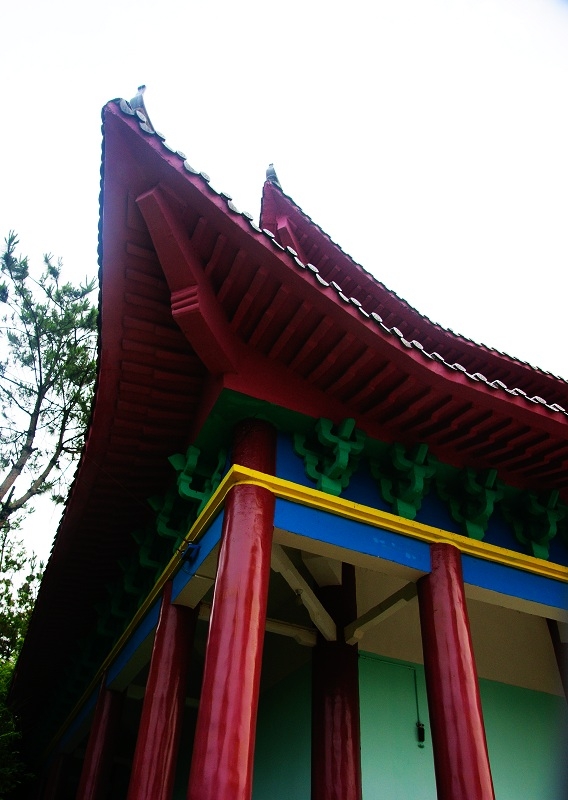 DSC00900.jpg