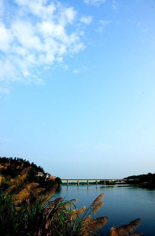 DSC01265.jpg