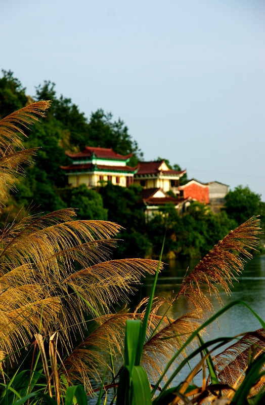 DSC01267.jpg
