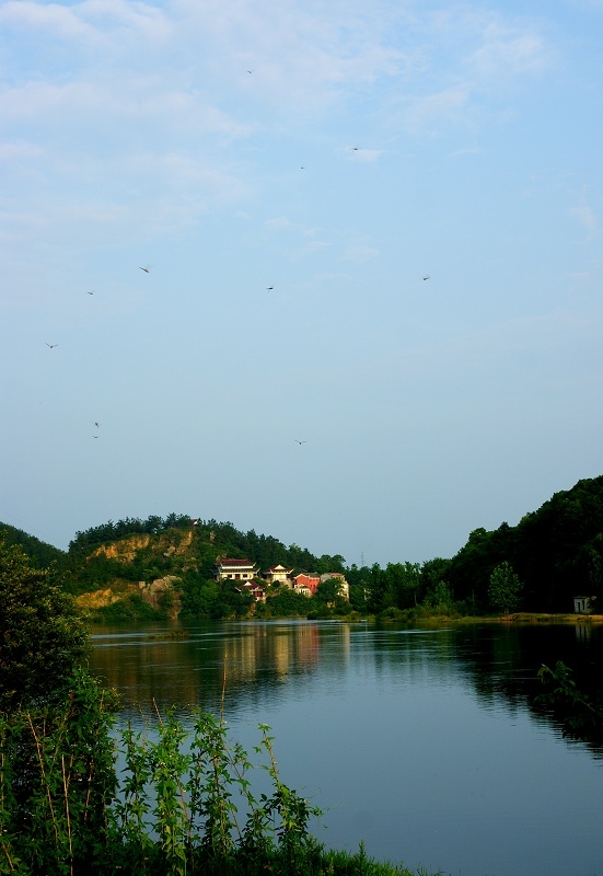 DSC01340.jpg