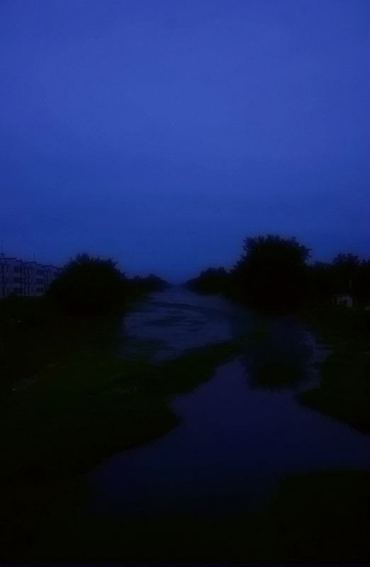 DSC01411.jpg