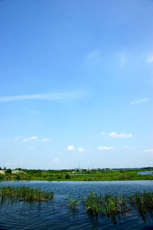 DSC01710.jpg