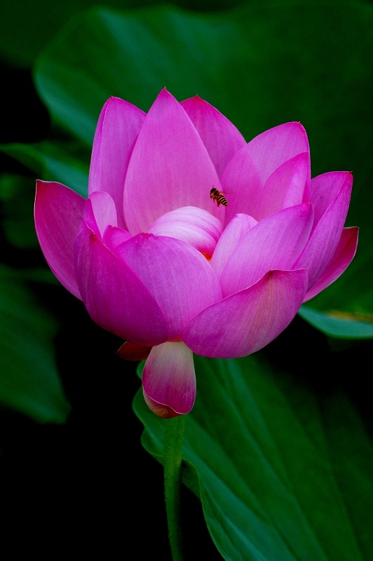 DSC00030.jpg