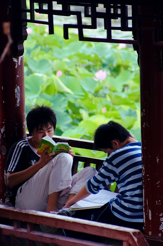 DSC00095.jpg