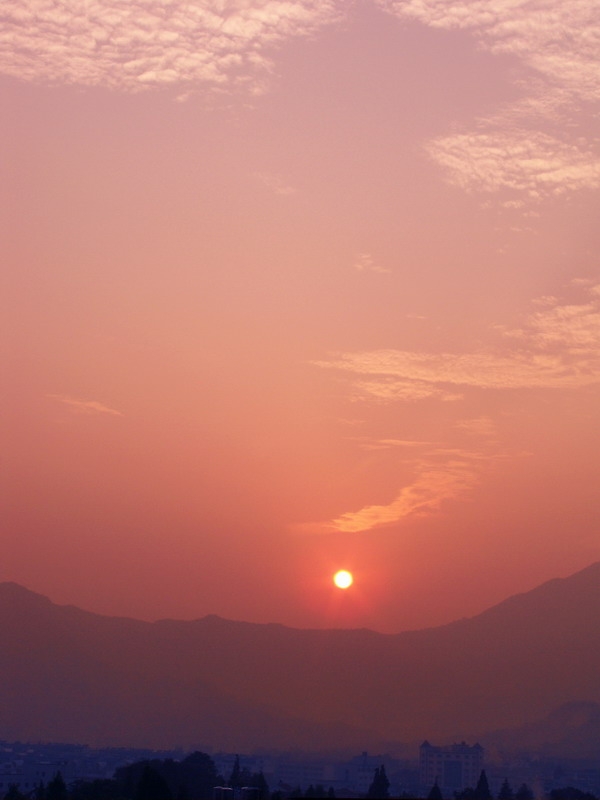 100_2544.jpg