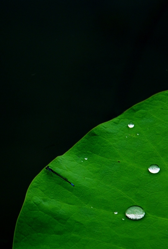 eeewq3 (25).jpg