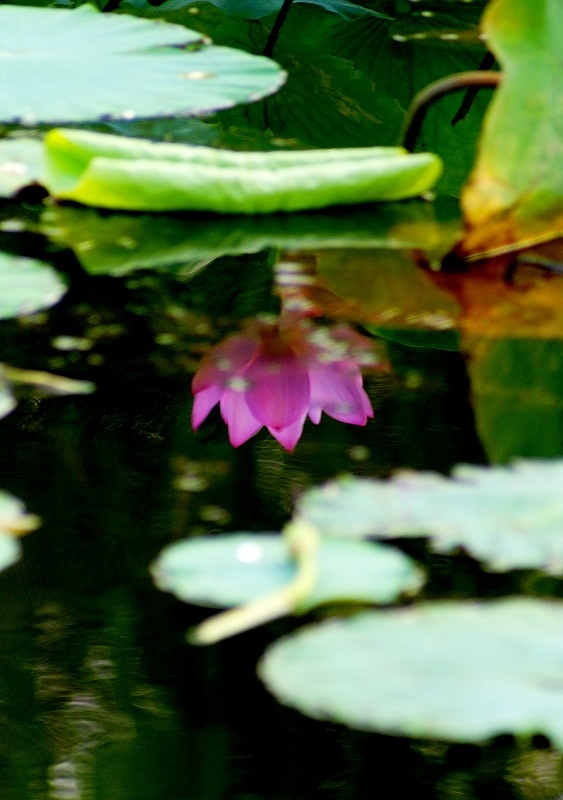DSC00304.jpg