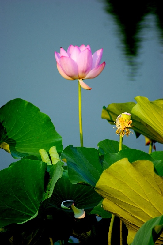 DSC00328.jpg