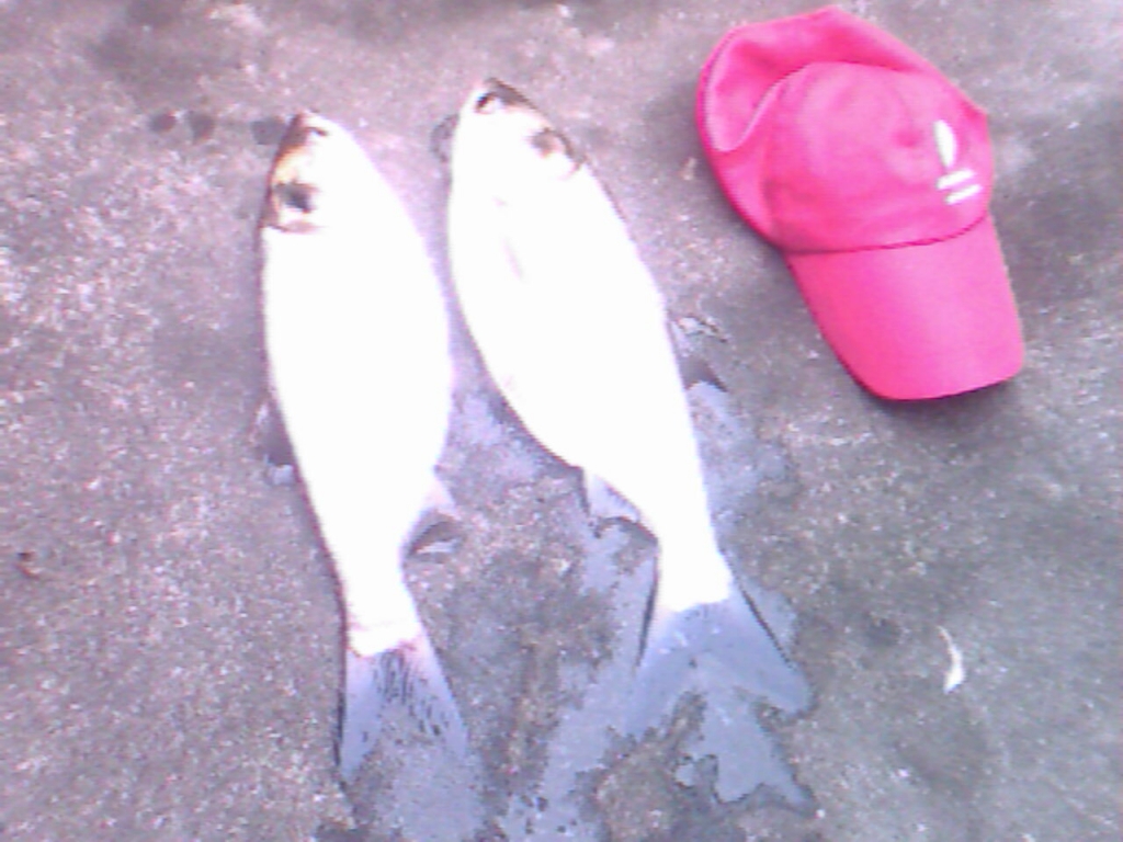 IMG0289A.jpg