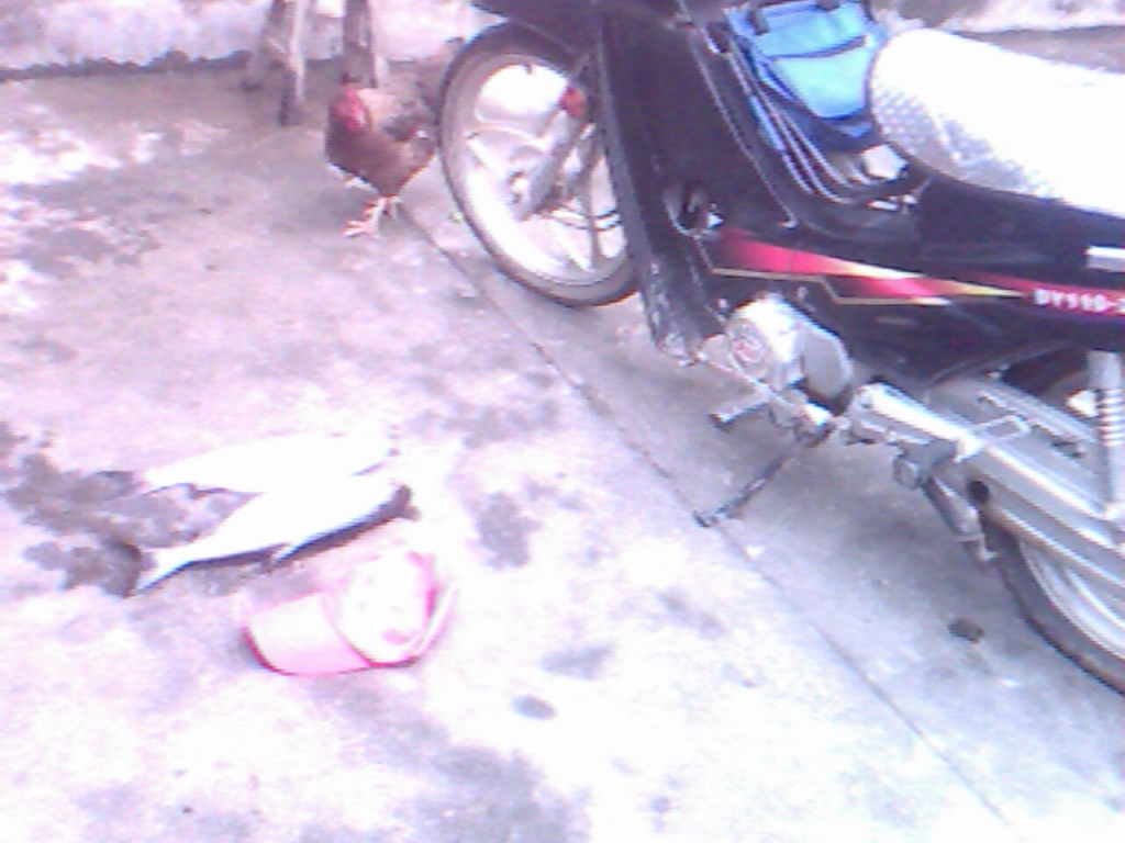IMG0291A.jpg
