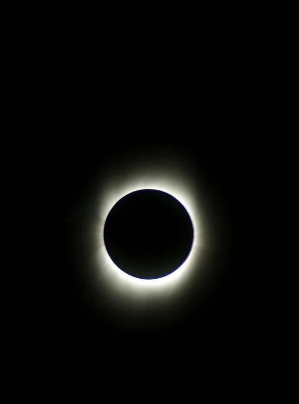 DSC04606.jpg