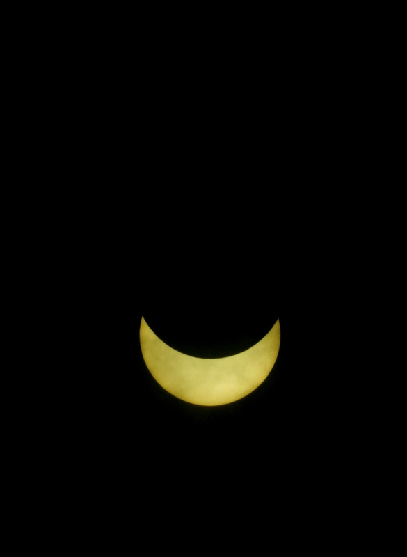 DSC04550.jpg