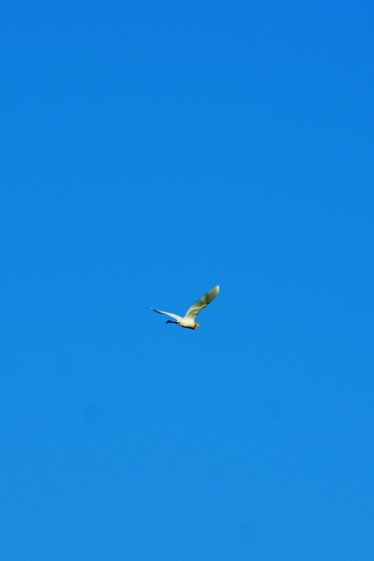 DSC02625.jpg