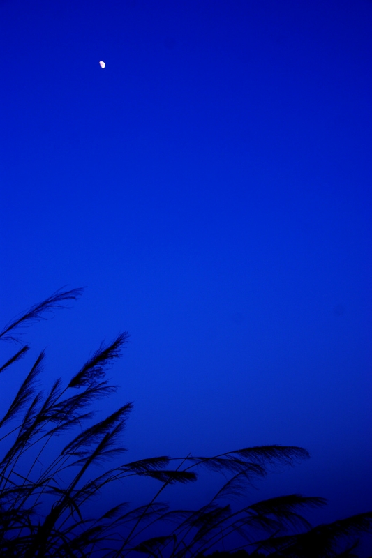 DSC02761.jpg