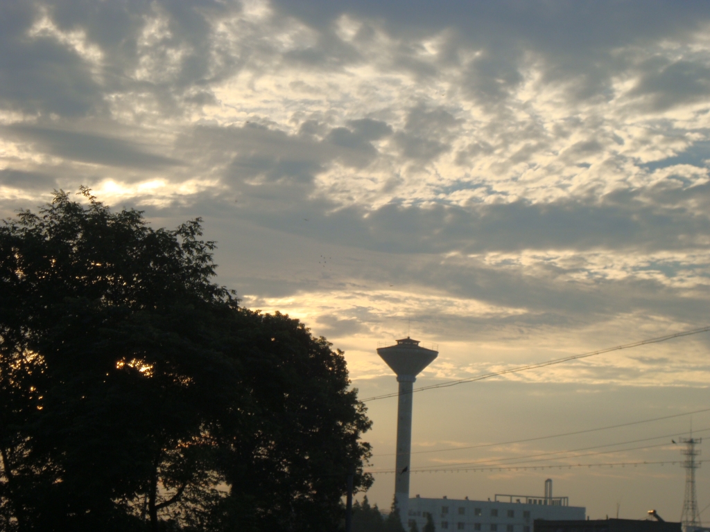 DSC04294.JPG