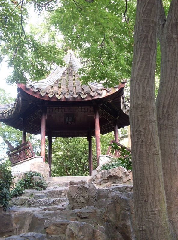 SDC12817.jpg