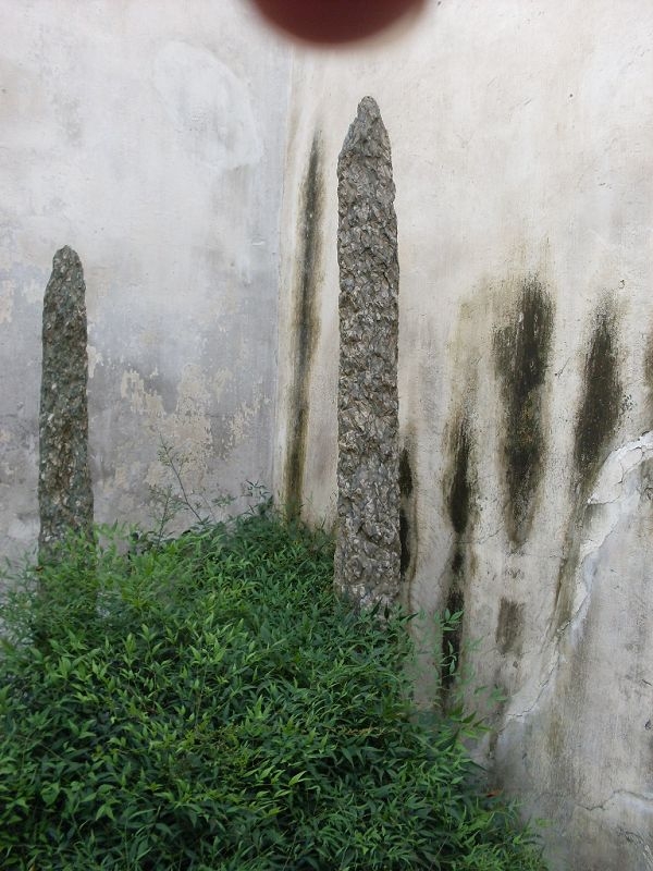 SDC12795.jpg