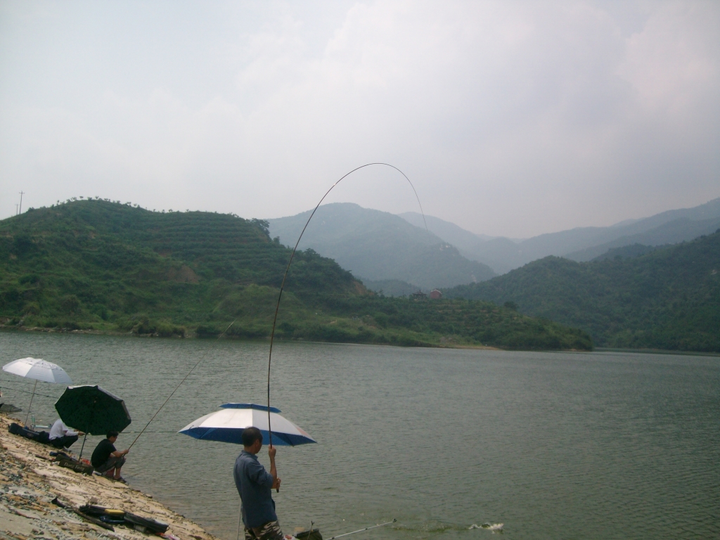 SANY0888.JPG