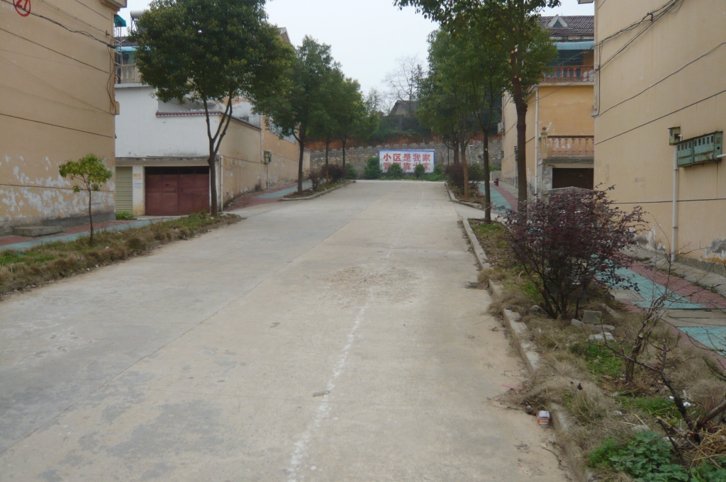 P1030259.JPG