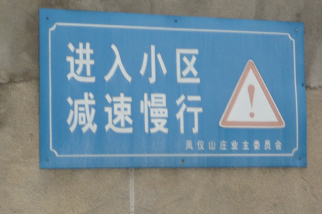 P1030303.JPG