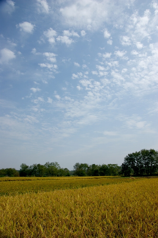 DSC08388.jpg
