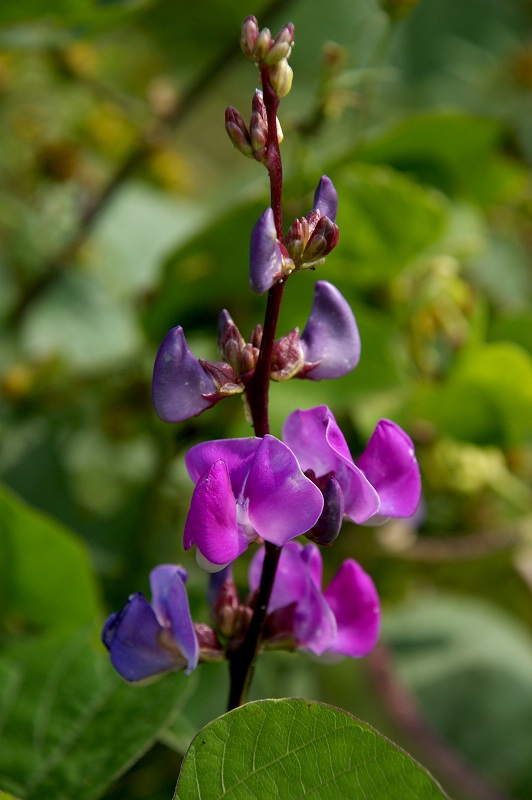 DSC08416.jpg
