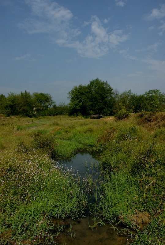 DSC08605.jpg