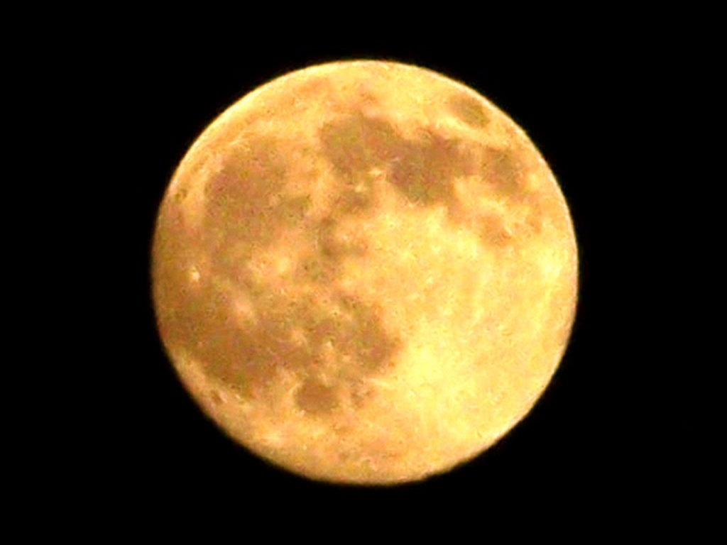 100_4004-2.jpg