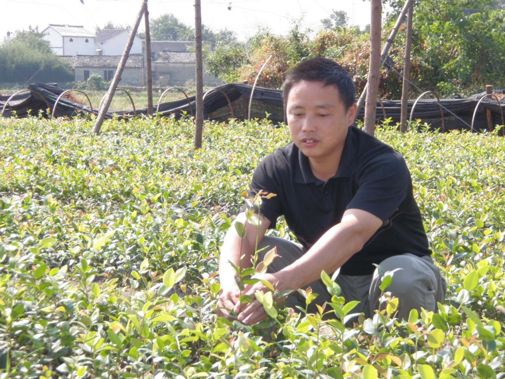 占焰炉查看油茶苗的生长情况.JPG