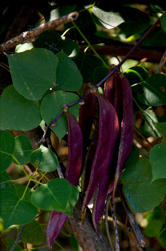 DSC07855.jpg