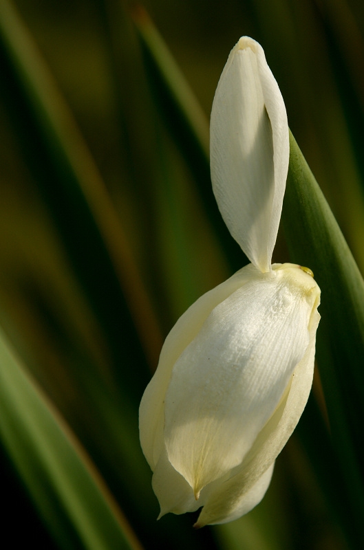 DSC08082.jpg