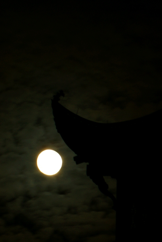 DSC07734.jpg